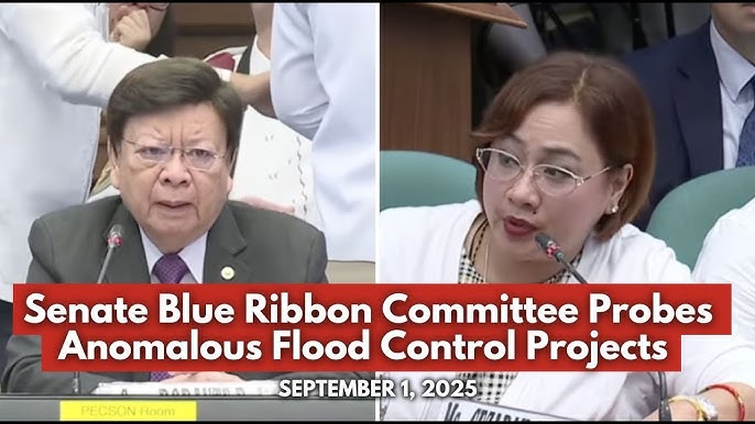 Senate-Blue-Ribbon-Committee-Holds-Construction-Firm-Owner-in-Contempt-Over-Contradictory-Testimony