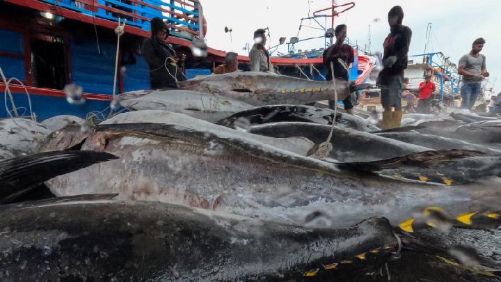 Aklan-Governor-Advocates-for-Food-Security-at-National-Agri-Fishery-Forum