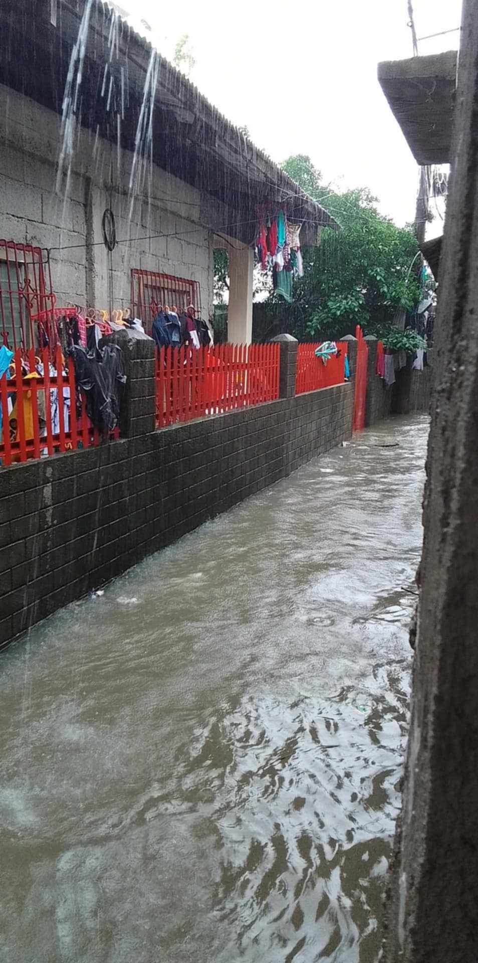 Severe-Tropical-Storm-Opong-Halts-Sea-Travel-Stranding-Over-1000-Passengers-in-Bicol-Region-Ports